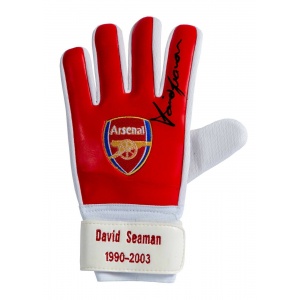 Signed David Seaman Arsenal Goalkeeper Glove Limited Edition