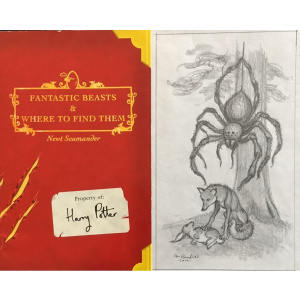 Fantastic Beast and Where to find them true UK 1/1 Comic Relief signed by cast + Stunning original Giles Greenfield vignette