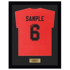 DIY Shirt Framing Kit - Basic