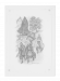 HP8